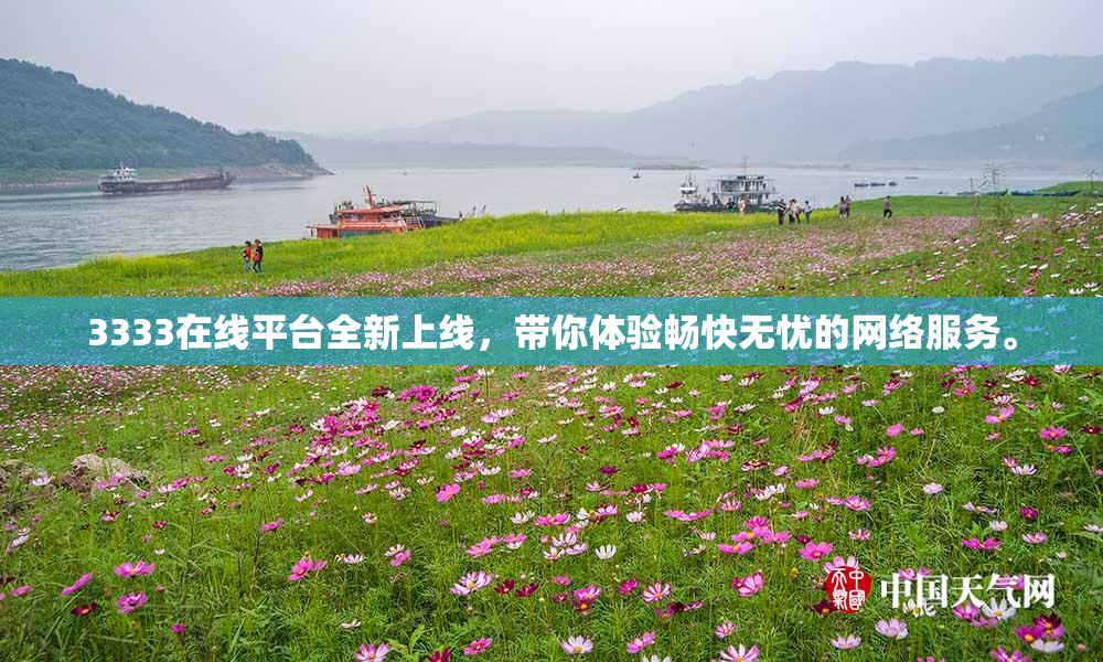 3333在线平台全新上线，带你体验畅快无忧的网络服务。
