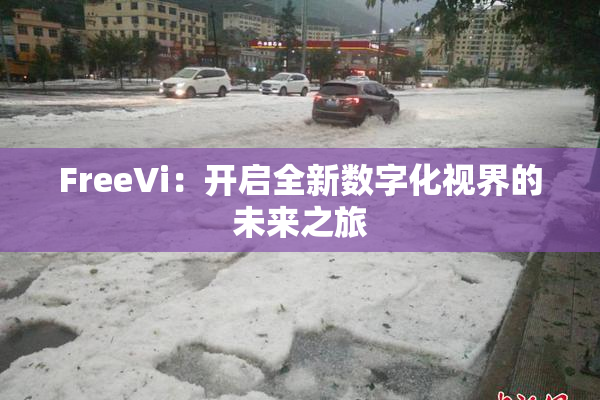 FreeVi：开启全新数字化视界的未来之旅