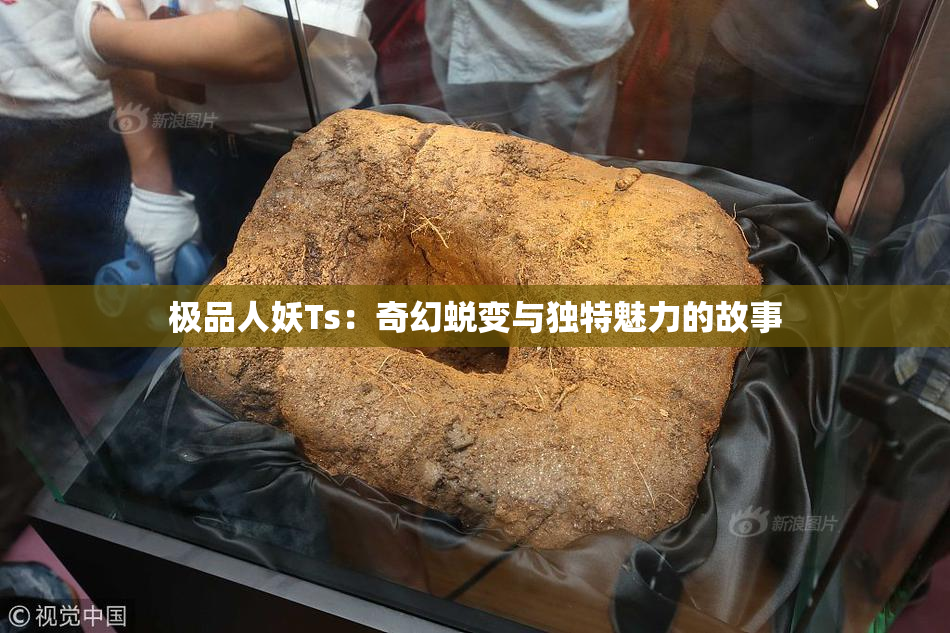极品人妖Ts：奇幻蜕变与独特魅力的故事