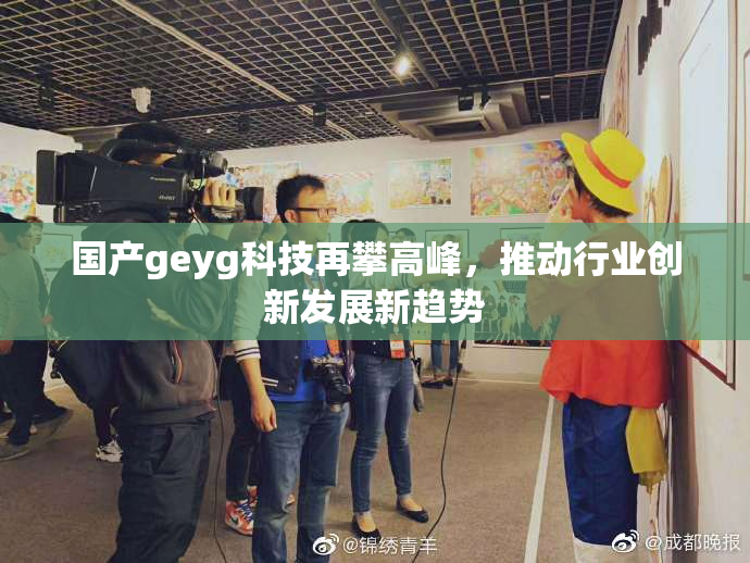 国产geyg科技再攀高峰，推动行业创新发展新趋势