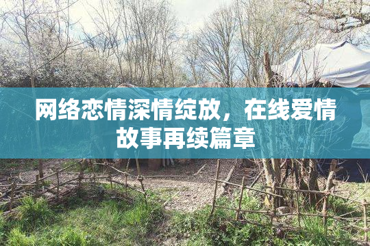 网络恋情深情绽放，在线爱情故事再续篇章