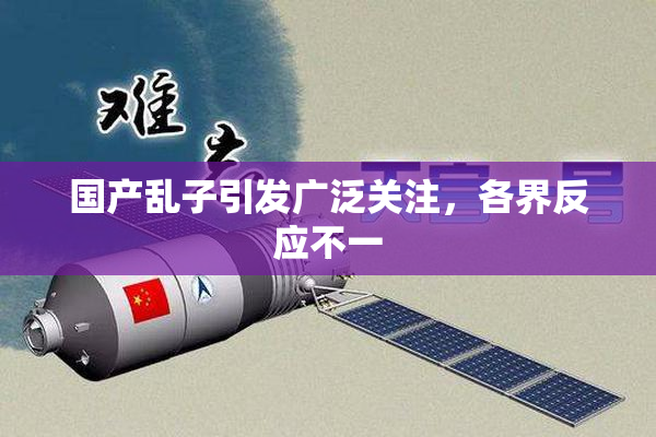 国产乱子引发广泛关注，各界反应不一