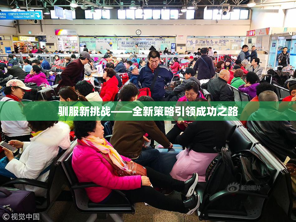 驯服新挑战——全新策略引领成功之路