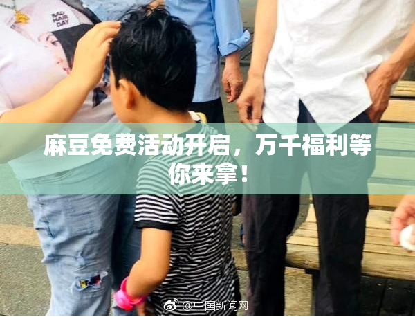 麻豆免费活动开启，万千福利等你来拿！