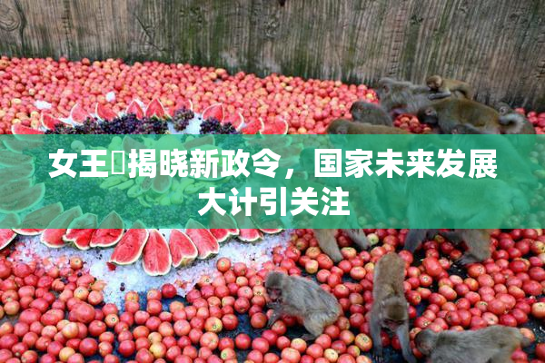 女王様揭晓新政令，国家未来发展大计引关注