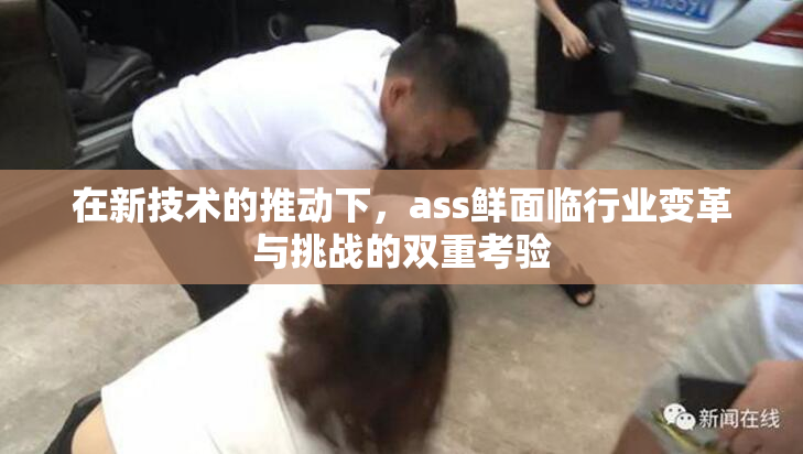 在新技术的推动下，ass鲜面临行业变革与挑战的双重考验
