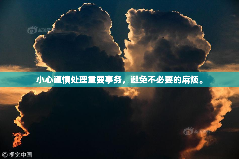 小心谨慎处理重要事务，避免不必要的麻烦。