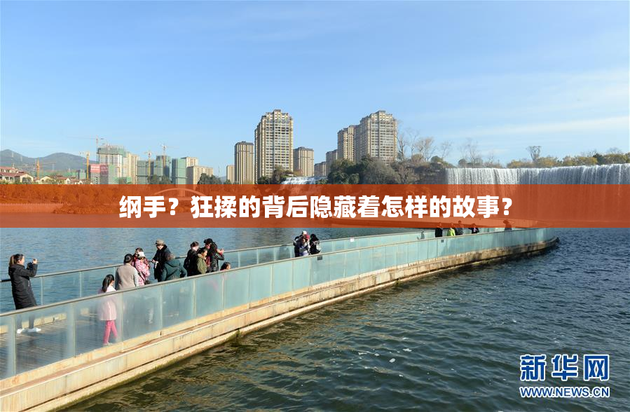 纲手？狂揉的背后隐藏着怎样的故事？
