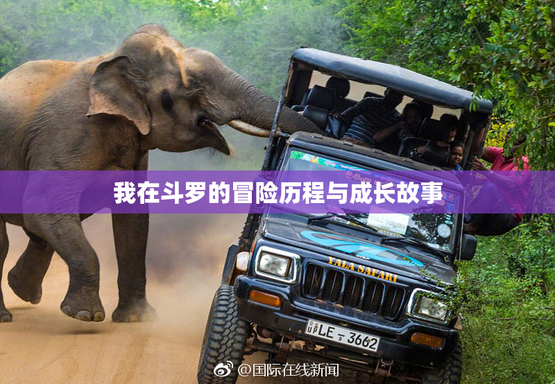 我在斗罗的冒险历程与成长故事