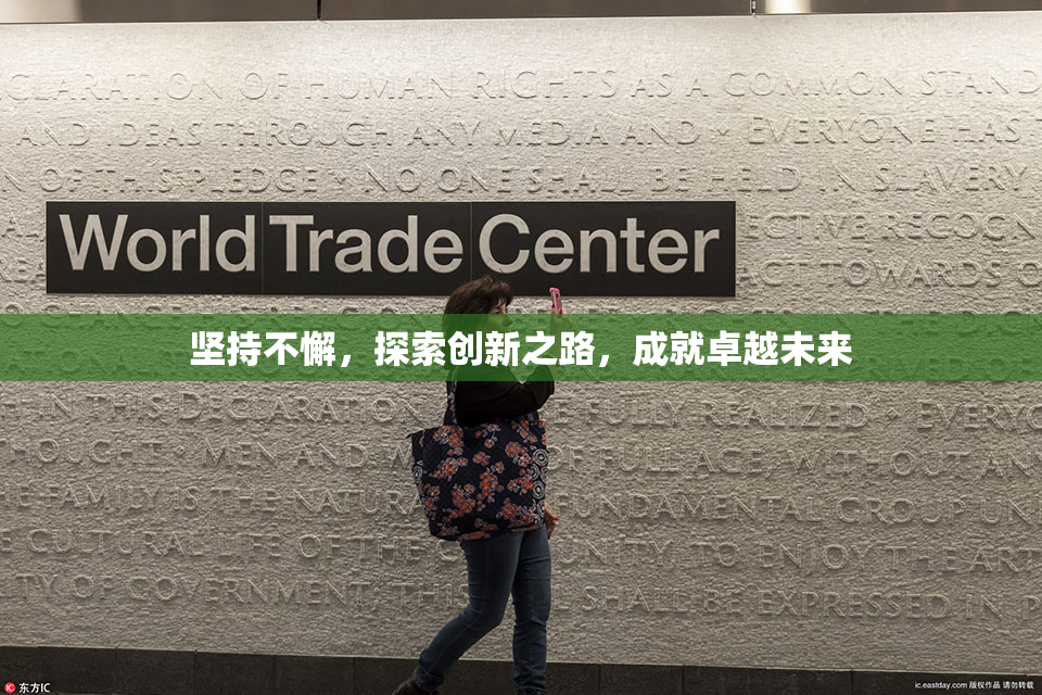 坚持不懈，探索创新之路，成就卓越未来