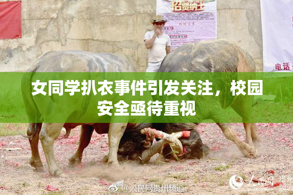 女同学扒衣事件引发关注，校园安全亟待重视