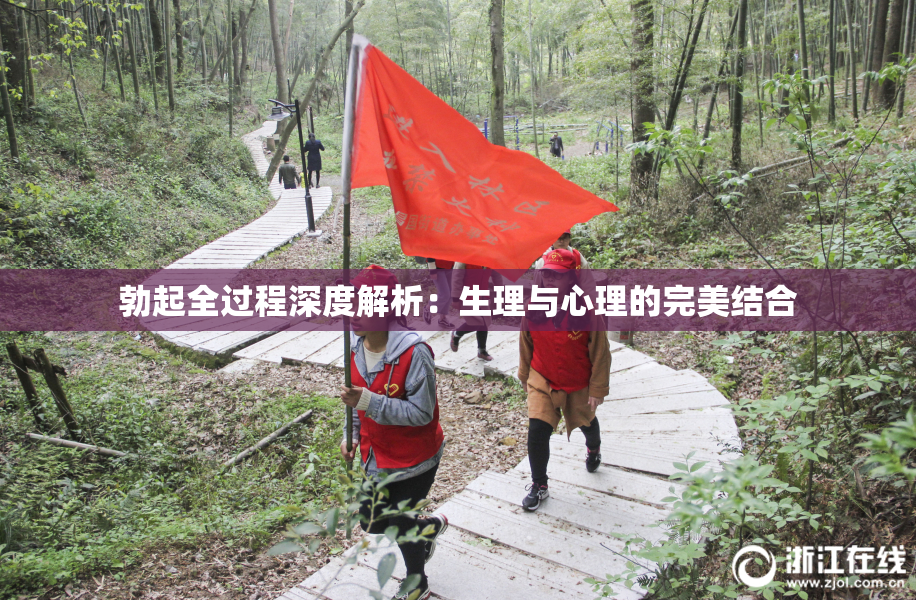 勃起全过程深度解析：生理与心理的完美结合