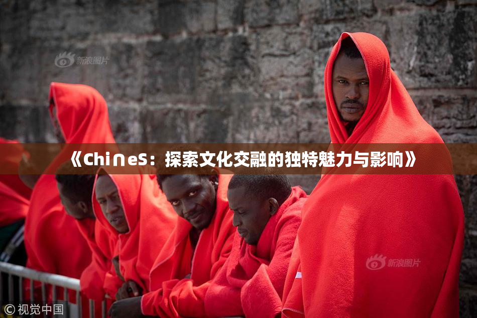 《Chi∩eS：探索文化交融的独特魅力与影响》