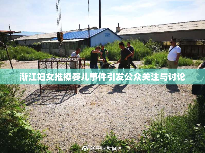 渐江妇女推搡婴儿事件引发公众关注与讨论