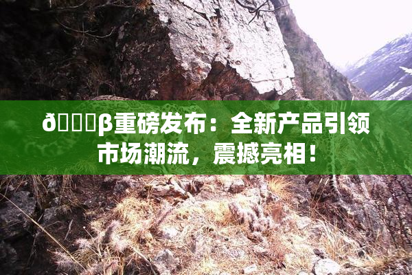 🔞β重磅发布：全新产品引领市场潮流，震撼亮相！