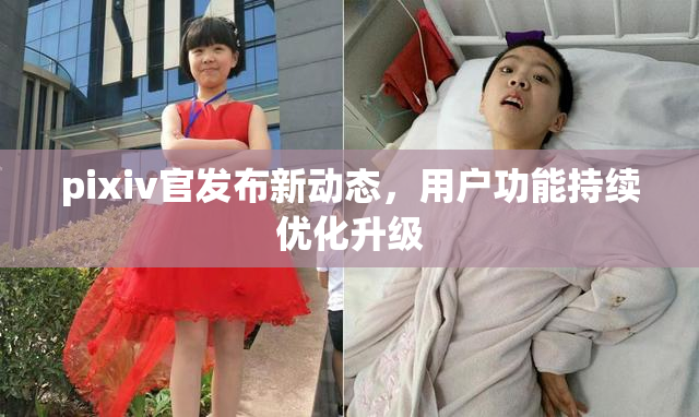 pixiv官发布新动态，用户功能持续优化升级