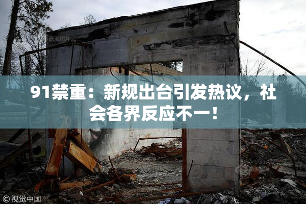 91禁重：新规出台引发热议，社会各界反应不一！