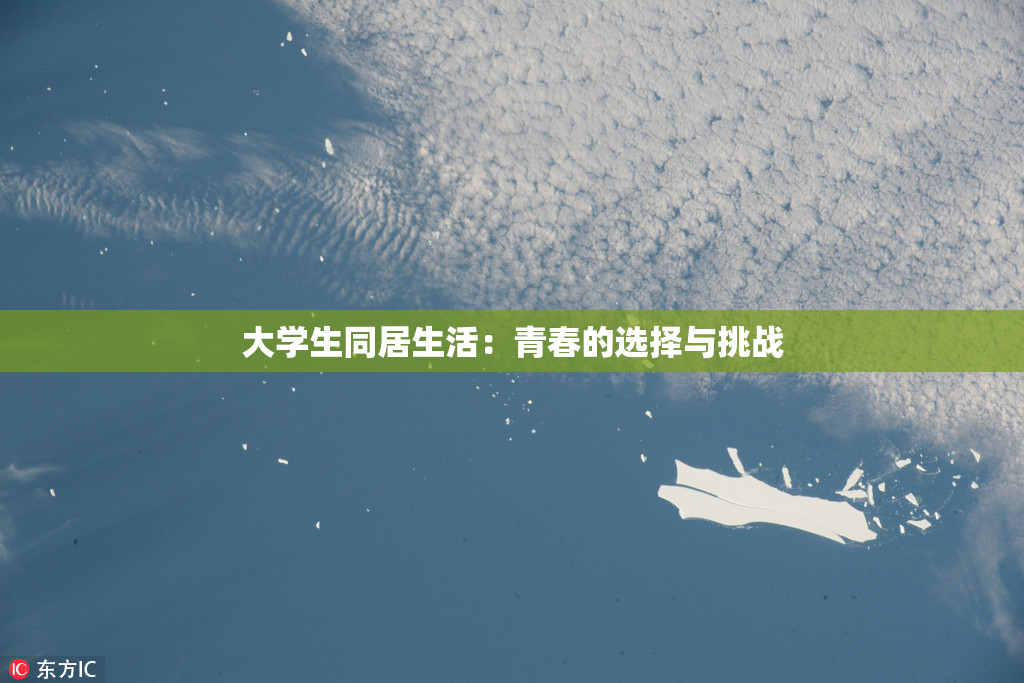 大学生同居生活：青春的选择与挑战