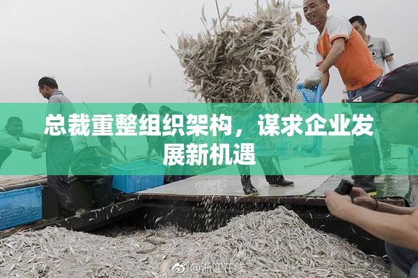 总裁重整组织架构，谋求企业发展新机遇