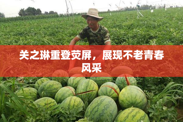 关之琳重登荧屏，展现不老青春风采