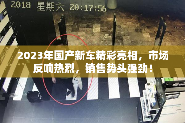 2023年国产新车精彩亮相，市场反响热烈，销售势头强劲！