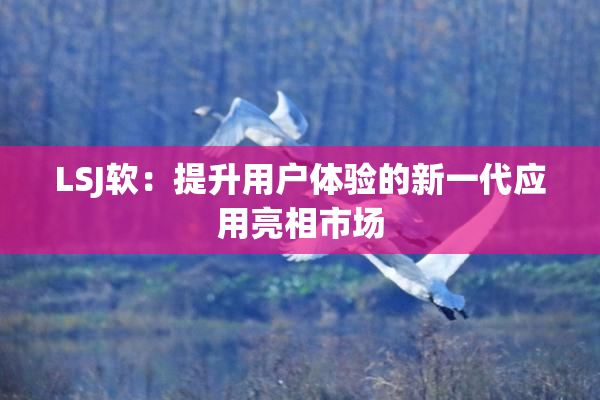 LSJ软：提升用户体验的新一代应用亮相市场