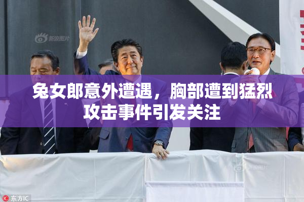 兔女郎意外遭遇，胸部遭到猛烈攻击事件引发关注