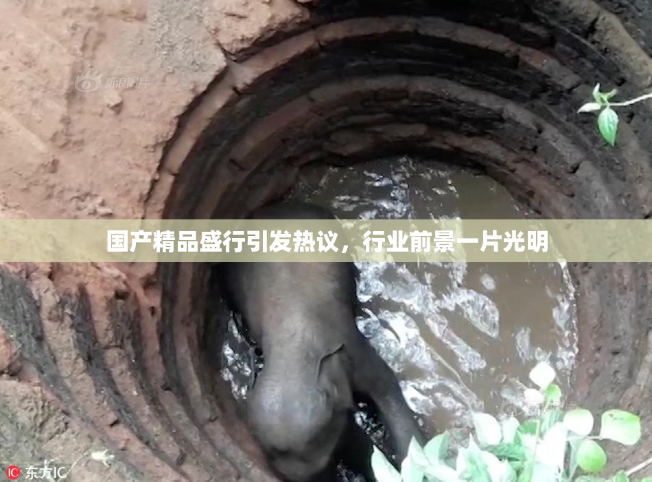 国产精品盛行引发热议，行业前景一片光明