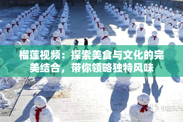 榴莲视频：探索美食与文化的完美结合，带你领略独特风味
