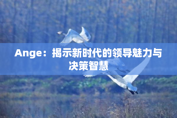 Ange：揭示新时代的领导魅力与决策智慧
