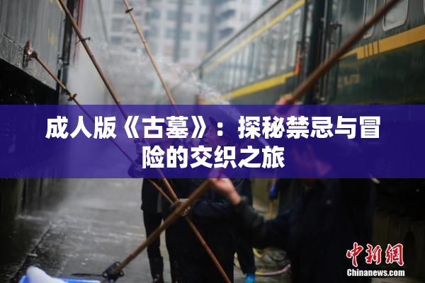 成人版《古墓》：探秘禁忌与冒险的交织之旅