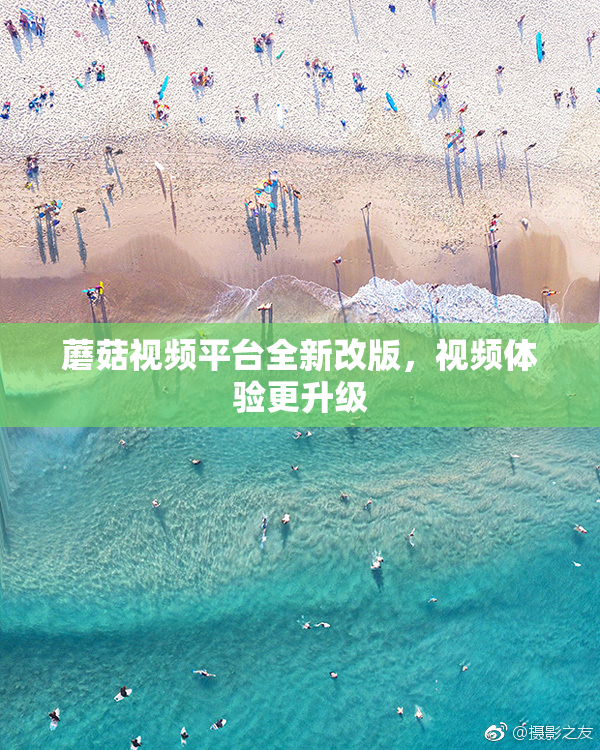 蘑菇视频平台全新改版，视频体验更升级