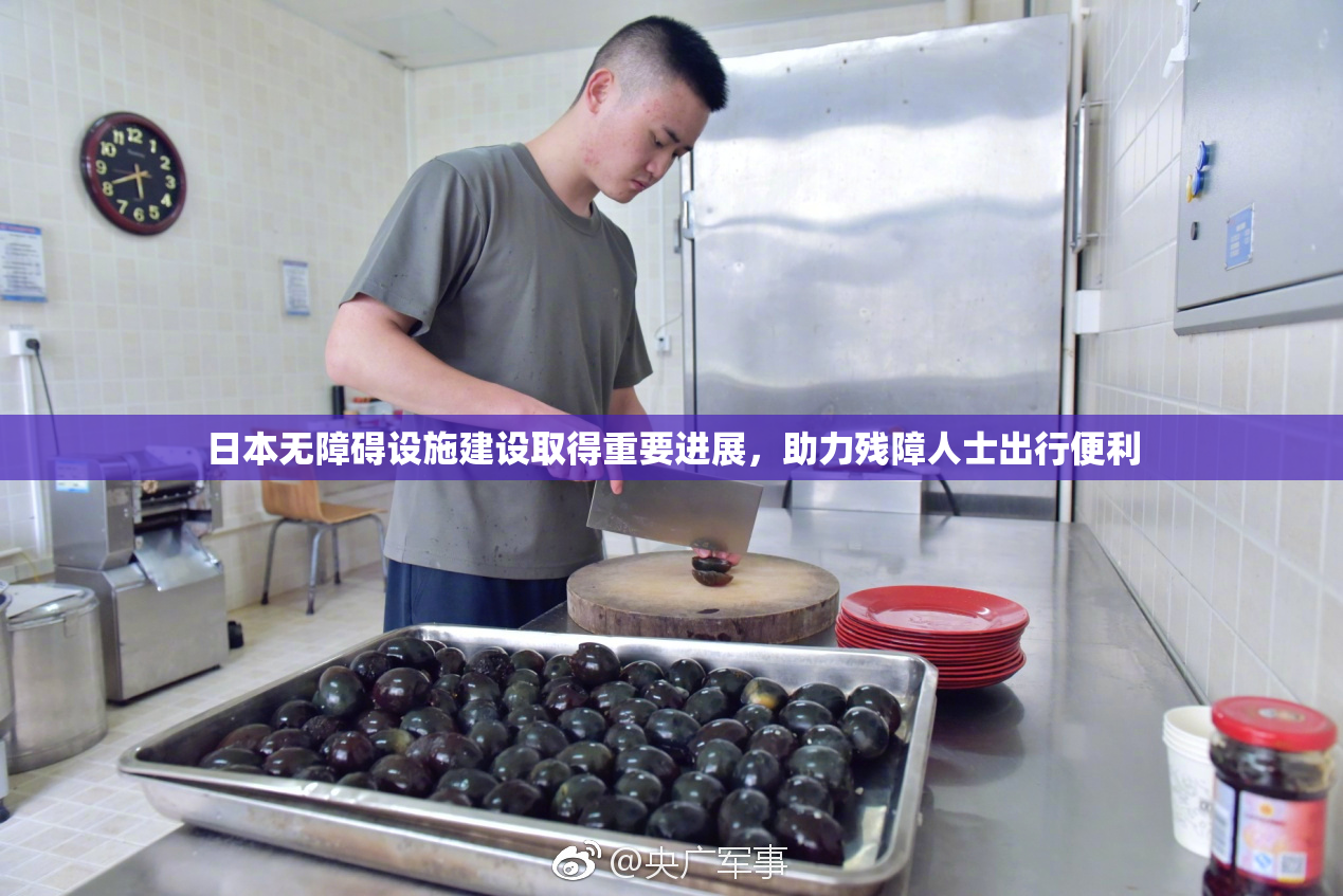 日本无障碍设施建设取得重要进展，助力残障人士出行便利