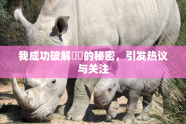 我成功破解妺妺的秘密，引发热议与关注