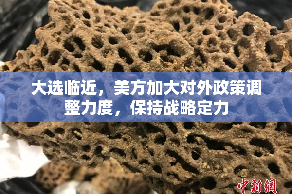 大选临近，美方加大对外政策调整力度，保持战略定力