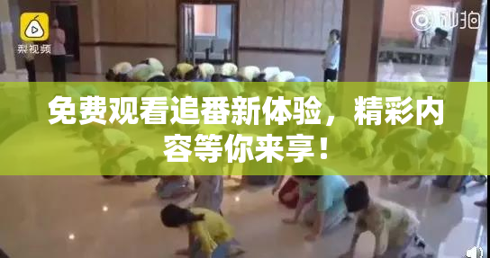 免费观看追番新体验，精彩内容等你来享！