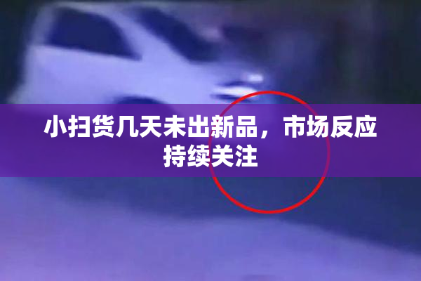 小扫货几天未出新品，市场反应持续关注