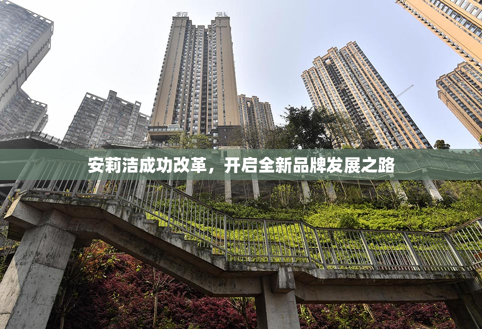 安莉洁成功改革，开启全新品牌发展之路