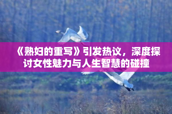 《熟妇的重写》引发热议，深度探讨女性魅力与人生智慧的碰撞