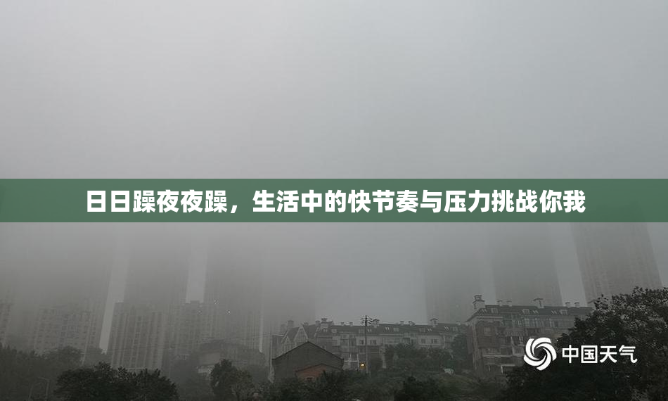 日日躁夜夜躁，生活中的快节奏与压力挑战你我