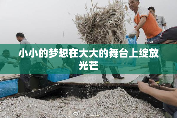 小小的梦想在大大的舞台上绽放光芒