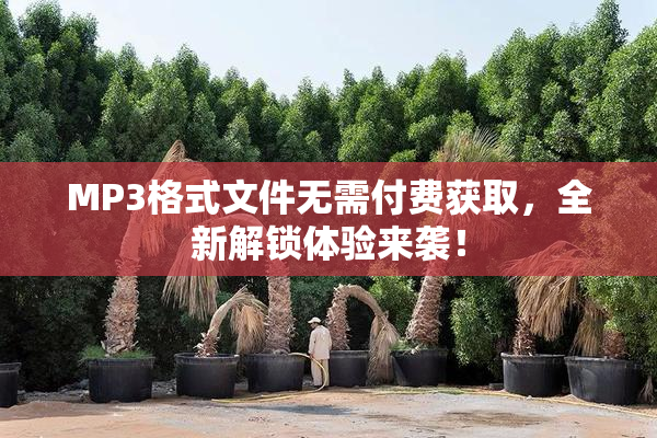 MP3格式文件无需付费获取，全新解锁体验来袭！