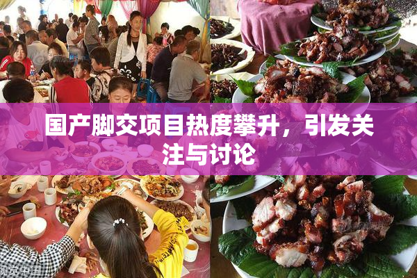 国产脚交项目热度攀升，引发关注与讨论