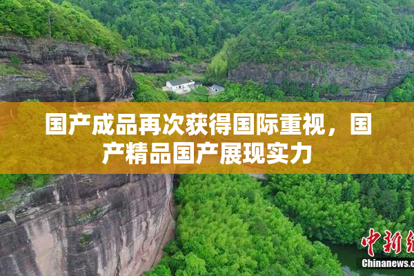 国产成品再次获得国际重视，国产精品国产展现实力