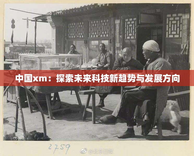 中国xm：探索未来科技新趋势与发展方向