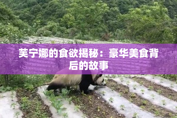 芙宁娜的食欲揭秘：豪华美食背后的故事