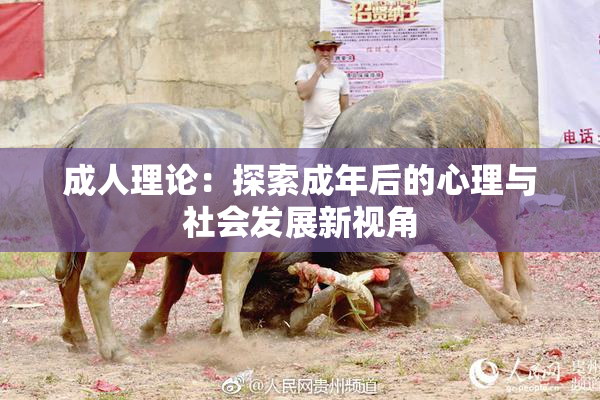 成人理论：探索成年后的心理与社会发展新视角