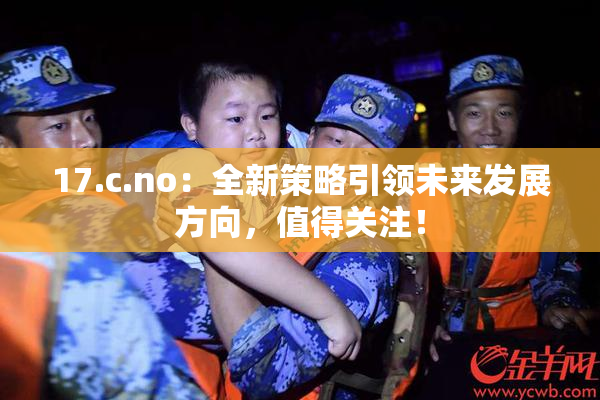 17.c.no：全新策略引领未来发展方向，值得关注！