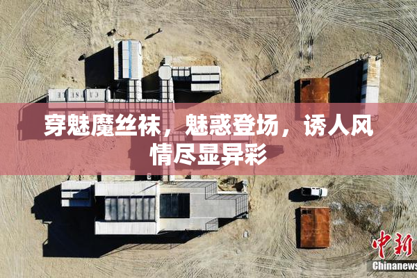 穿魅魔丝袜，魅惑登场，诱人风情尽显异彩