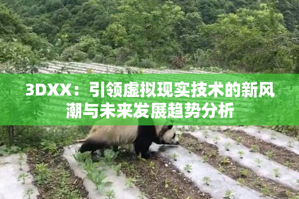 3DXX：引领虚拟现实技术的新风潮与未来发展趋势分析